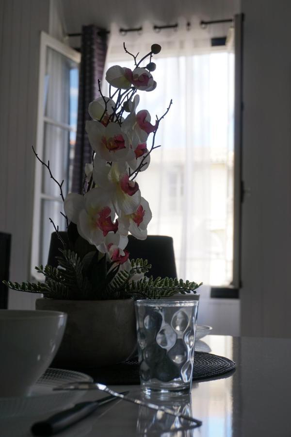 Le Telly-Centre Ville-Petits Prix-Ideal Pour Rayonner Sur La Ville 卡尔卡松 外观 照片