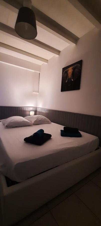 Le Telly-Centre Ville-Petits Prix-Ideal Pour Rayonner Sur La Ville 卡尔卡松 外观 照片