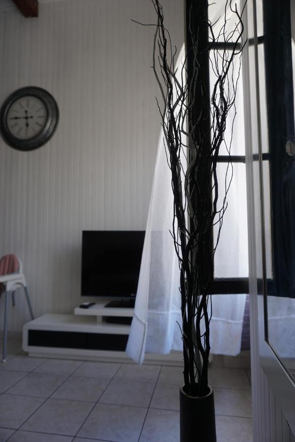 Le Telly-Centre Ville-Petits Prix-Ideal Pour Rayonner Sur La Ville 卡尔卡松 外观 照片